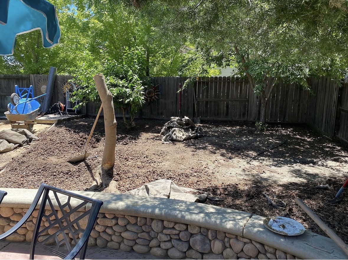 Before backyard